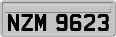 NZM9623