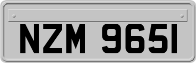 NZM9651