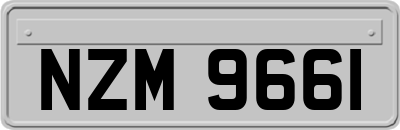 NZM9661