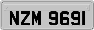 NZM9691