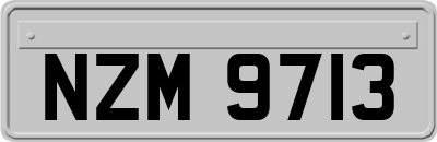 NZM9713