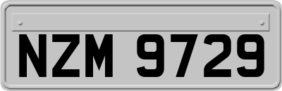 NZM9729