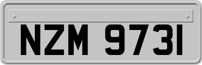 NZM9731