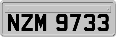 NZM9733