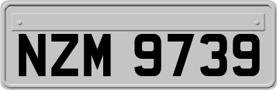 NZM9739