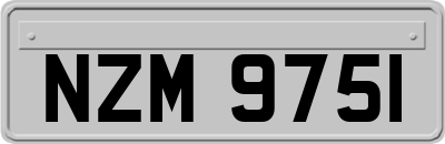 NZM9751