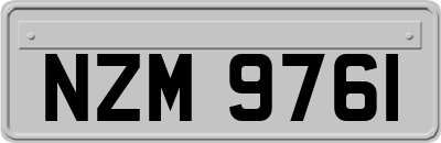 NZM9761