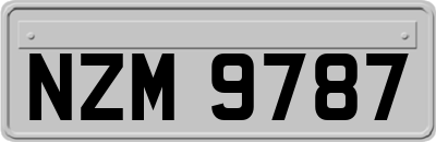 NZM9787