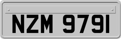 NZM9791