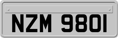 NZM9801
