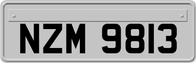 NZM9813