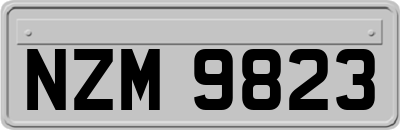 NZM9823