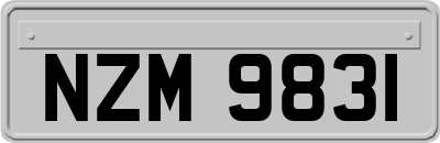 NZM9831