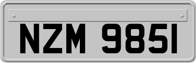 NZM9851