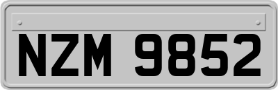 NZM9852