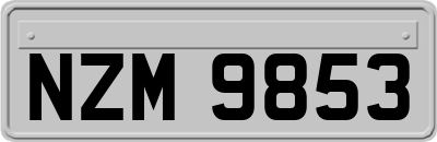 NZM9853