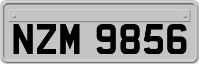NZM9856