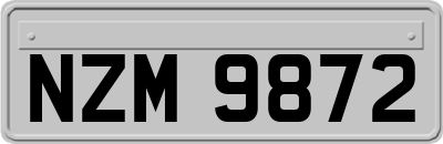 NZM9872