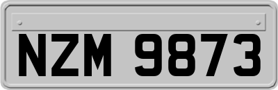 NZM9873