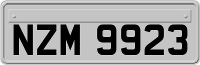 NZM9923