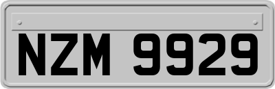 NZM9929