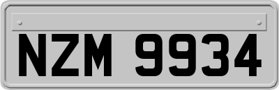 NZM9934