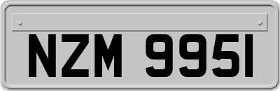 NZM9951