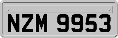 NZM9953