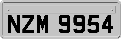 NZM9954