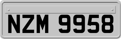 NZM9958