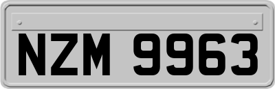NZM9963