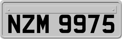NZM9975