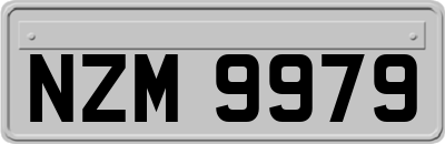 NZM9979