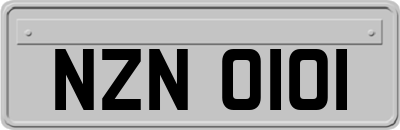 NZN0101