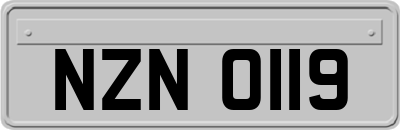NZN0119