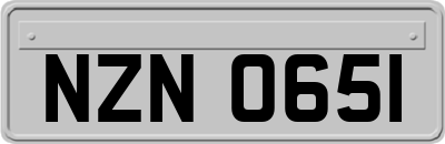 NZN0651