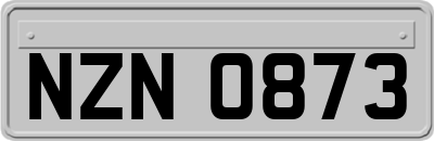NZN0873