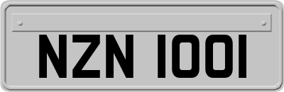 NZN1001