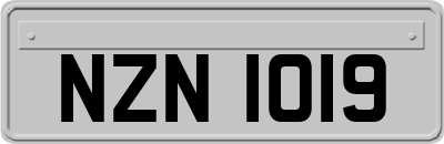 NZN1019
