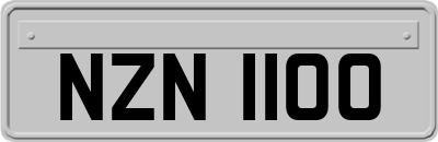 NZN1100