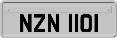 NZN1101