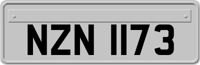 NZN1173