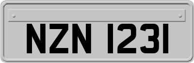 NZN1231