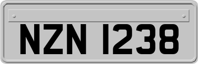 NZN1238