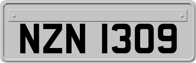 NZN1309
