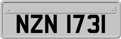 NZN1731