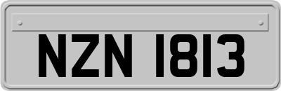 NZN1813