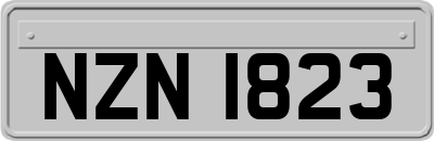 NZN1823