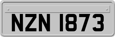 NZN1873