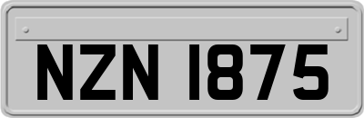 NZN1875
